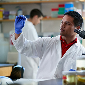 A student holding up a slide in a science class. Links to Gifts of Appreciated Securities