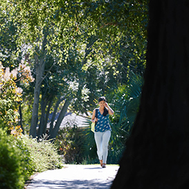 A student walking. Links to Closely Held Business Stock